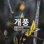 개풍 뜻: 따뜻한 바람., 남쪽에서 불어오는 바람. [국어 사전]