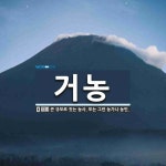 거농 뜻: 큰 규모로 짓는 농사. 또는 그런 농가나 농민.