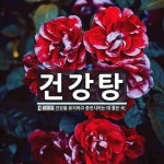 건강탕 뜻: 건강을 유지하고 증진시키는 데 좋은 국.