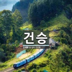 건승 뜻: 탈 없이 건강함.