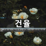 건율 뜻