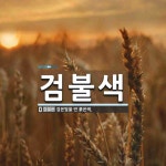 검불색 뜻: 검은빛을 띤 붉은색.