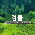 검불 뜻: 가느다란 마른 나뭇가지, 마른 풀, 낙엽 따위를 통틀어 이르는 말., ‘솔가리’의 방언 [국어 사전]