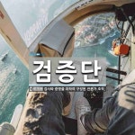 검증단 뜻