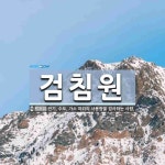 심의약선침술원 | 검침원 뜻