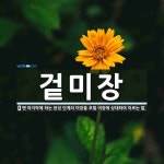겉미장 뜻: 맨 마지막에 하는 완성 단계의 미장을 초벌 미장에 상대하여 이르는 말.