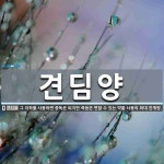 견딤양 뜻: 그 이하를 사용하면 중독은 되지만 죽음은 면할 수 있는 약물 사용의 최대 한계량.