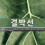 결박선 뜻: 철근을 잇거나 묶을 때 쓰는 가는 쇠줄. 연성(軟性)이 있으면서도 일정한 강도(強度)를 지