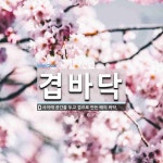 겹바닥 뜻: 사이에 공간을 두고 겹으로 만든 배의 바닥.