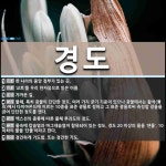 경도 뜻: 한 나라의 중앙 정부가 있는 곳., ‘교토’를 우리 한자음으로 읽은 이름., 가까운 길., [국어 사전]