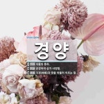 경양 뜻: 서울의 풍속., 공경하여 삼가 사양함., 지경(地境)과 땅을 아울러 이르는 말. [국어 사전]