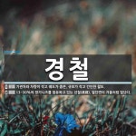 경철 뜻: 기관차와 차량이 작고 궤도가 좁은, 규모가 작고 간단한... , 13~30%의 망가니즈를 [국어 사전] 경철 뜻: 기관차와 차량이 작고 궤도가... 