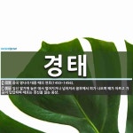 경태 뜻