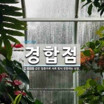 경합점 뜻: 같은 업종으로 서로 맞서 경합하는 상점.