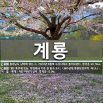계룡 뜻: 충청남도 남쪽에 있는 시. 2003년 9월에 논산시에서 분리되었다. 면적은 60.76㎢., [국어 사전]