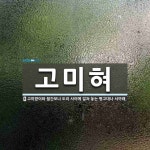 고미혀 뜻