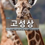 고성상 뜻: 조선 시대에, 임금의 음식을 마련하는 수라간에 속한 하인.