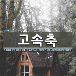 고속축 뜻: 양성 결정의 광축. 이 축상에서는 정상파가 비정상파보다 빠르게 전파한다.