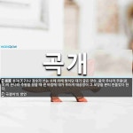곡개 뜻: 천자(天子)나 장수가 쓰는 수레 위에 받치던 대가 굽은 양산. 중국 주나라 무왕(武王)이 [국어 사전] 곡개 뜻: 천자(天子)나 장수가 쓰는... 