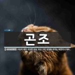 곤조 뜻: 고집이 세고 고약한 성질. 또는 그런 성질을 부리는 버릇이나 태도. 곤조 뜻: 고집이 세고 고약한 성질. 또는 그런 성질을 부리는...
