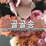 골골송 뜻: 고양이가 기분이 좋거나 편할 때 내는 소리를 노래에 비유하여 이르는 말.