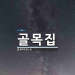 골목집 뜻: 골목에 있는 집.