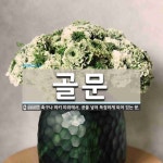 골문 뜻: 축구나 하키 따위에서, 공을 넣어 득점하게 되어 있는 문.