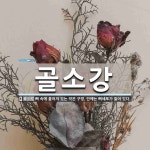 골소강 뜻
