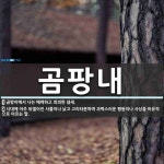 곰팡내 뜻: 곰팡이에서 나는 매캐하고 쾨쾨한 냄새., 시대에 아주 뒤떨어진 사물이나 낡고 고리타분하며 [국어 사전] 곰팡내 뜻: 곰팡이에서 나는... 