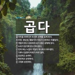 곱다 뜻: 이익을 보려다가 도리어 손해를 입게 되다., 모양, 생김새, 행동거지 따위가 산뜻하고 아름 [국어 사전]