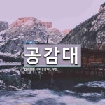 공감대 뜻: 서로 공감하는 부분.
