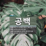 공백 뜻: 종이나 책 따위에서 글씨나 그림이 없는 빈 곳., 아무것도 없이 비어 있음., 특정한 활동 [국어 사전]