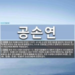 공손연 뜻: 중국 위(魏)나라의 무장(?~237). 오나라 손권의 동맹 제의를 물리쳐, 위나라 명제(明 [국어 사전]