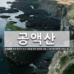 공액산 뜻: 어떤 염기가 수소 이온을 받아 생성된 산을 그 염기에 대하여 이르는 말.