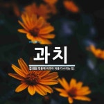 과치 뜻