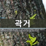 곽거 뜻: 중국 후한(後漢) 때의 사람(?~?). 집이 가난하여 노모(老母)가 굶주리는 것을 보고, 곽거 뜻: 중국 후한(後漢) 때의 사람(?~?). 집이 가난하여... 