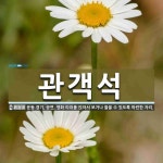 관객석 뜻: 운동 경기, 공연, 영화 따위를 앉아서 보거나 들을 수 있도록 마련한 자리.