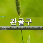 관골구 뜻