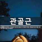 관골근 뜻
