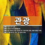 관광 뜻: 마음이 아주 넓음., 나라의 큰 덕과 훌륭함을 봄., 다른 지방이나 다른 나라에 가서 그곳 [국어 사전]
