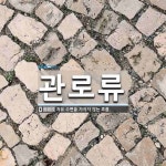 관로류 뜻