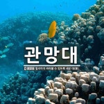 관망대 뜻: 멀리까지 바라볼 수 있도록 세운 대(臺).