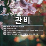 관비 뜻