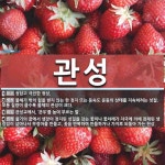 관성 뜻: 정답고 극진한 정성., 물체가 밖의 힘을 받지 않는 한 정지 또는 등속도 운동의 상태를 지 [국어 사전]