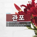 관포 뜻: 관아에서 만든 포육(脯肉)., 머리에 쓰는 관과 몸에 걸치는 옷을 아울러 이르는 말., 면 [국어 사전]