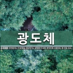 성우산업(주)[광도 | 광도체 뜻: 자연광이나 인공광을 전송하거나 분배하기 위한 목적으로 사용되는 광 전송 요소.