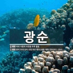 광순 뜻: 여러 사람의 의견을 두루 물음., 중국 오대 십국 시대 후주 태조(太祖) 때의 연호(951 [국어 사전]