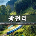 광전리 뜻
