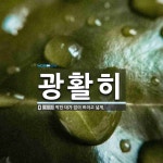 광활히 뜻: 막힌 데가 없이 트이고 넓게.