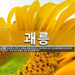 괘릉 뜻: 경상북도 경주시 외동읍 괘릉리에 있는 신라 때의 고분. 원성왕(元聖王)의 능으로 추정된다.